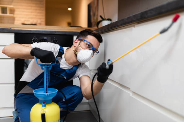 Best Affordable Pest Control Services  in Bonneauville, PA
