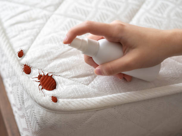 Best Residential Pest Control  in Bonneauville, PA
